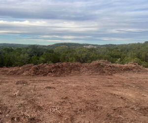 Land Clearing pics 2